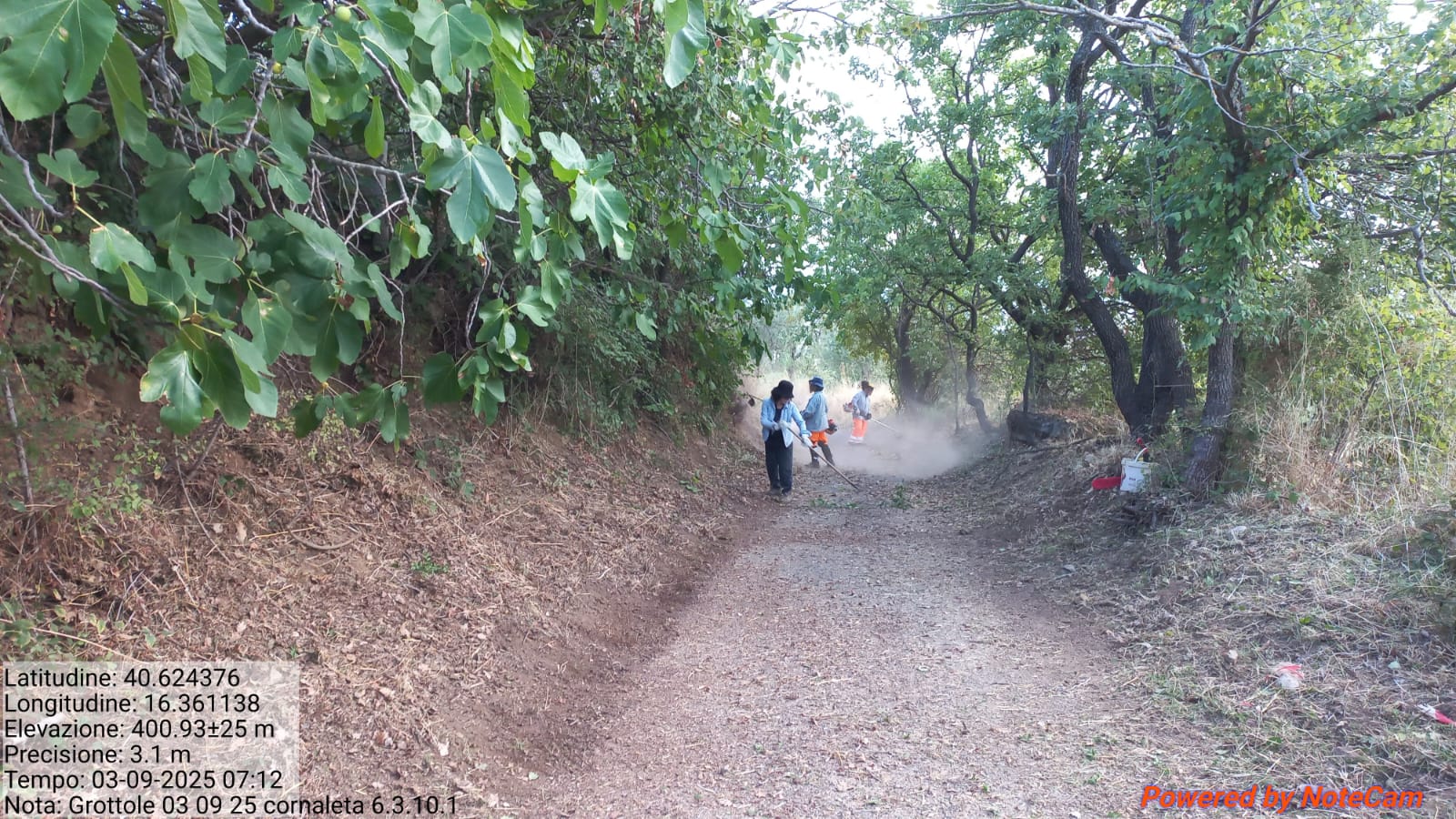 Galleria Fotografica Immagine