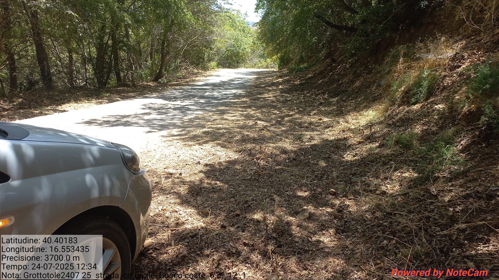 Galleria Fotografica Immagine