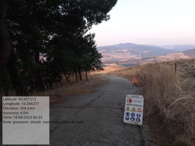 Galleria Fotografica Immagine