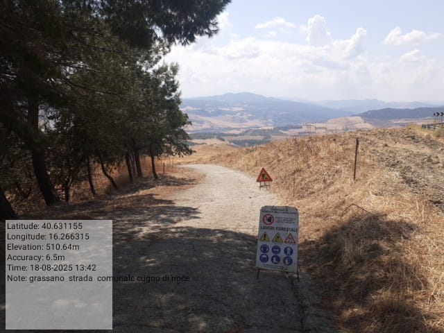 Galleria Fotografica Immagine