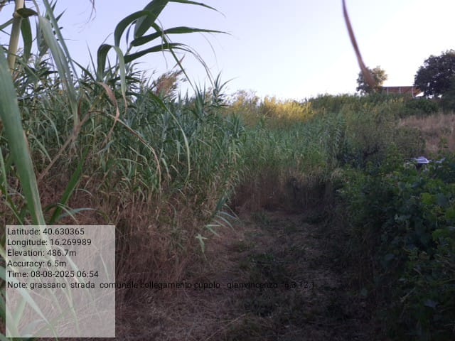 Galleria Fotografica Immagine