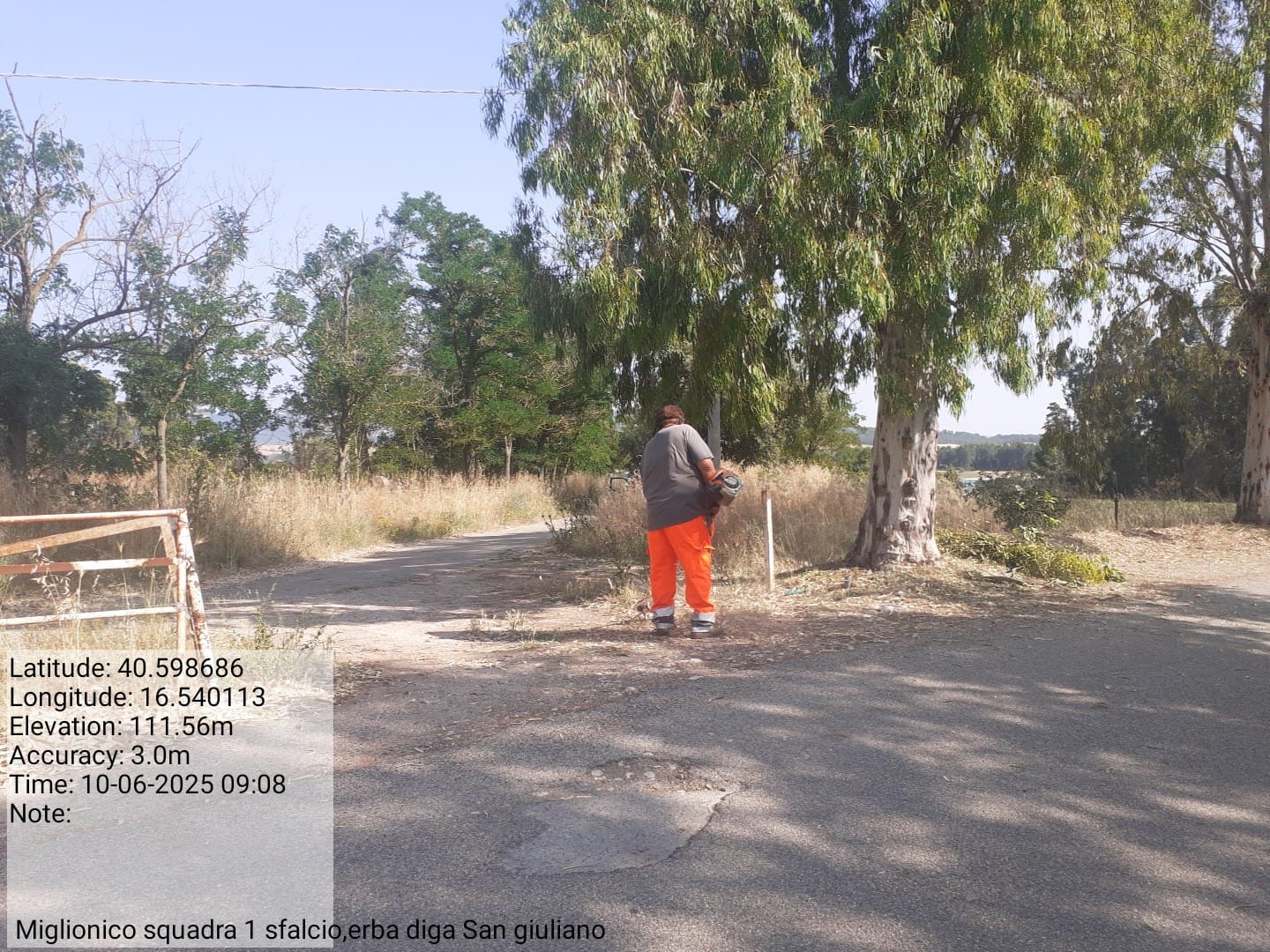 Galleria Fotografica Immagine