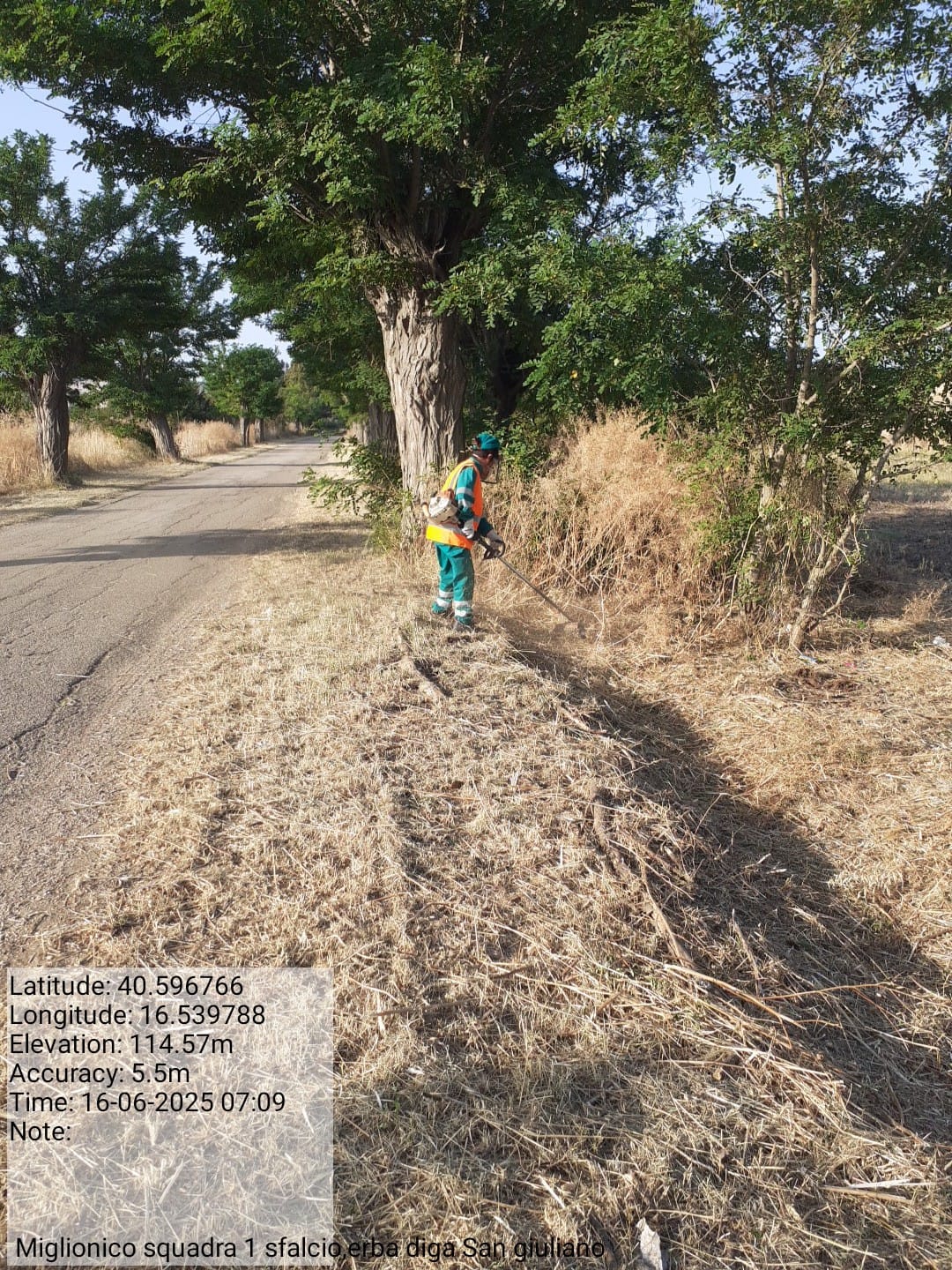 Galleria Fotografica Immagine