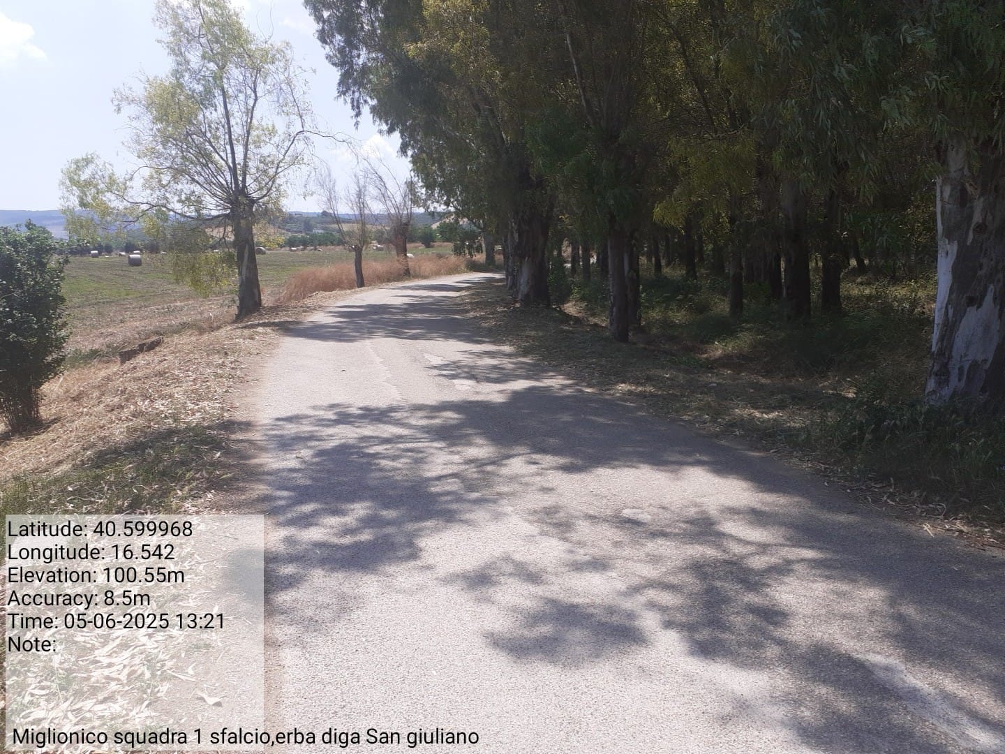 Galleria Fotografica Immagine