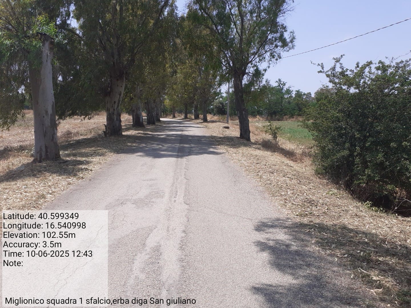 Galleria Fotografica Immagine