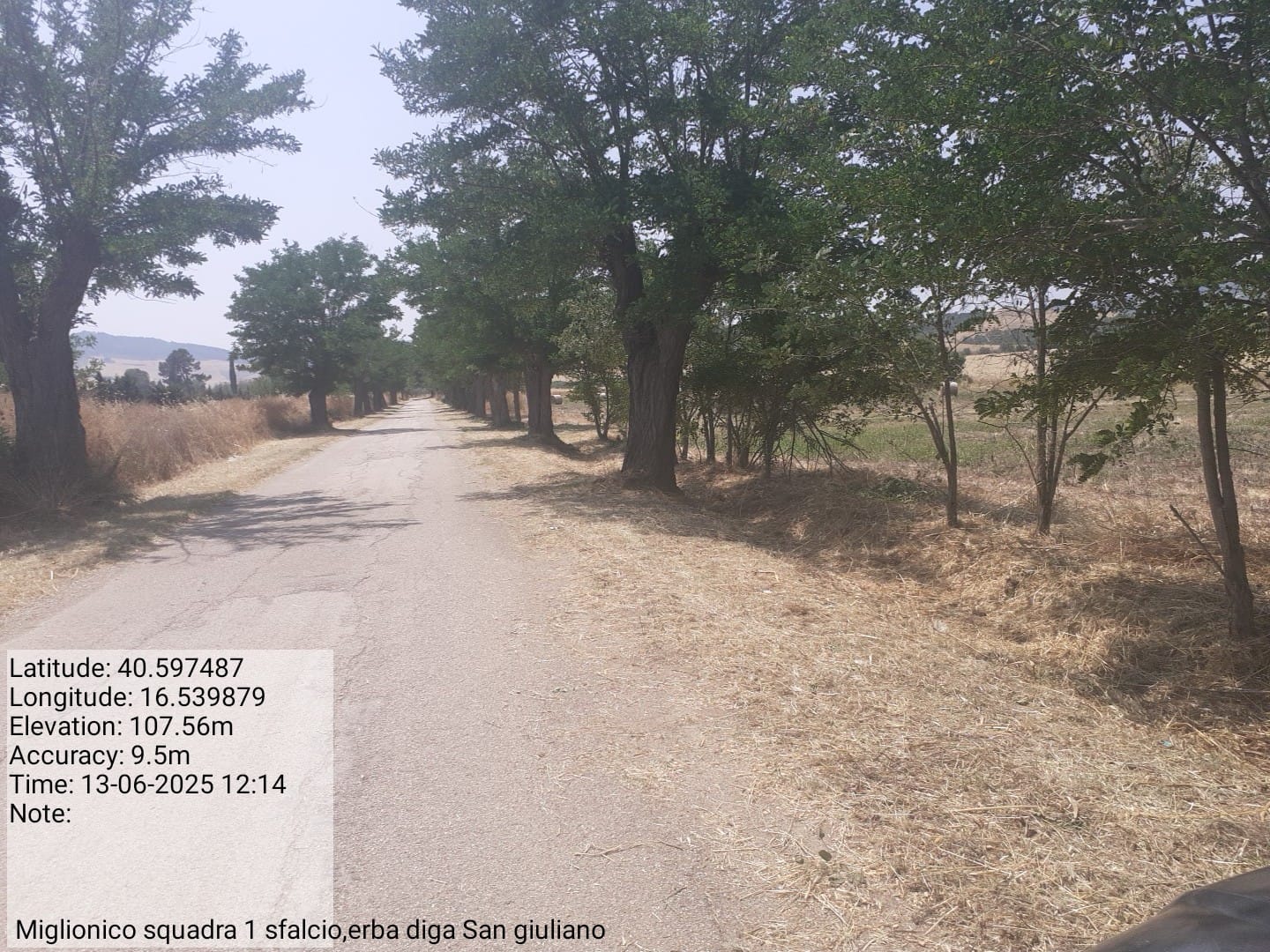 Galleria Fotografica Immagine