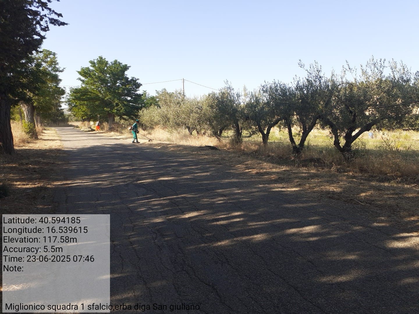 Galleria Fotografica Immagine