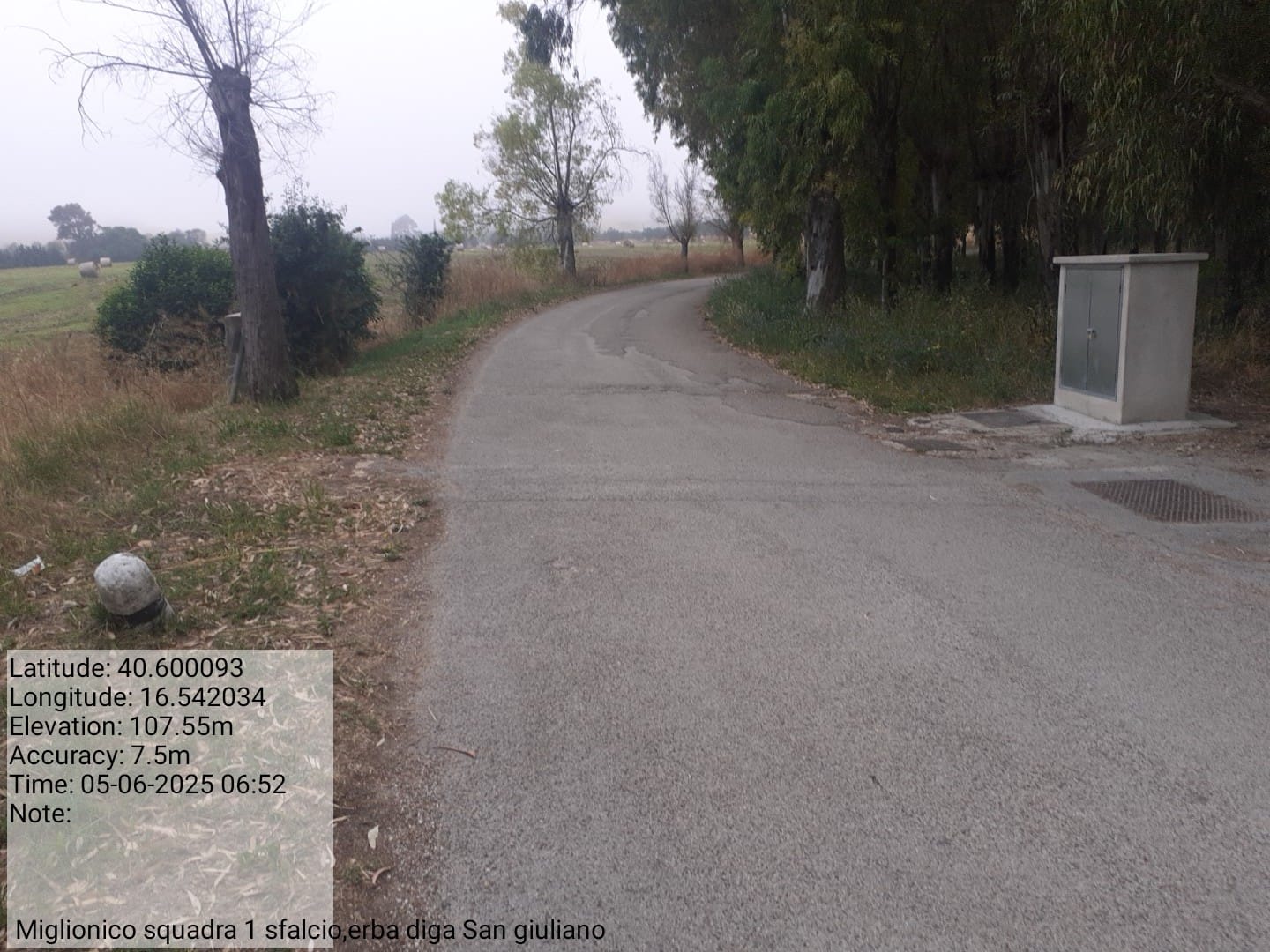 Galleria Fotografica Immagine