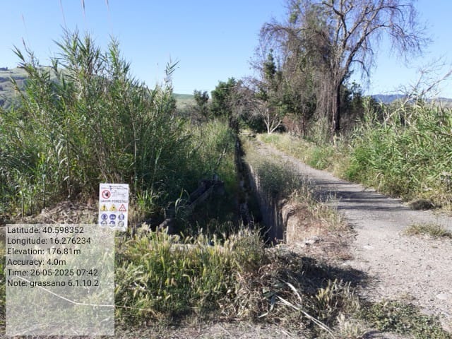 Galleria Fotografica Immagine