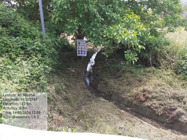 Galleria Fotografica Immagine