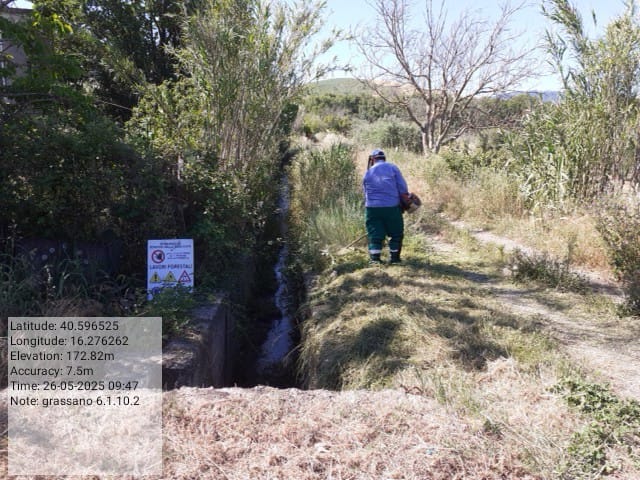 Galleria Fotografica Immagine