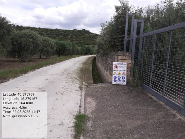 Galleria Fotografica Immagine