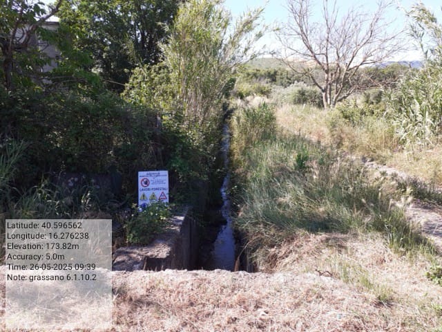 Galleria Fotografica Immagine