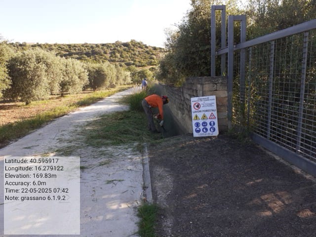 Galleria Fotografica Immagine