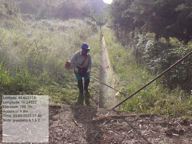 Galleria Fotografica Immagine