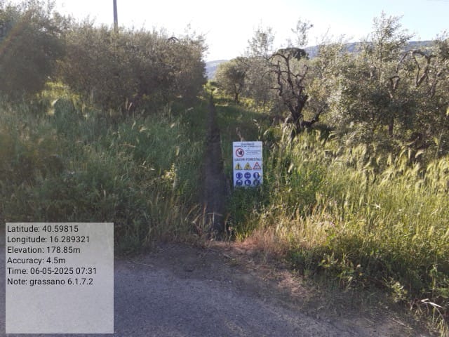 Galleria Fotografica Immagine