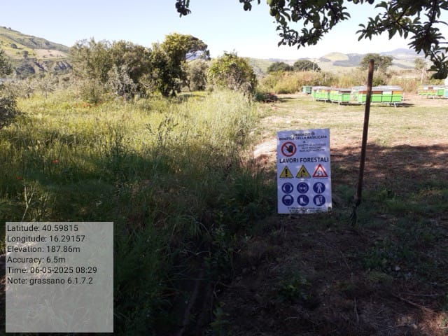 Galleria Fotografica Immagine