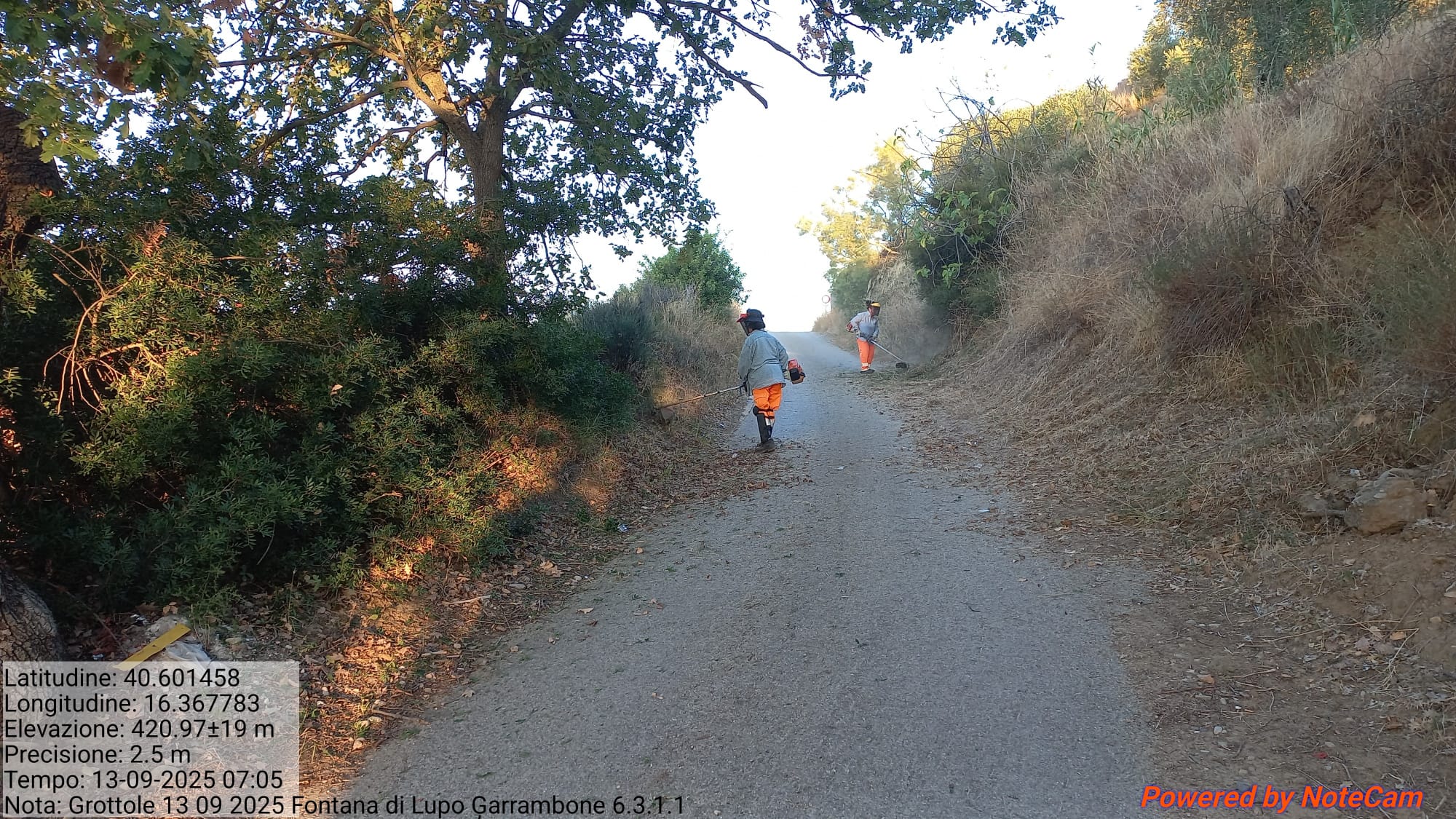 Galleria Fotografica Immagine