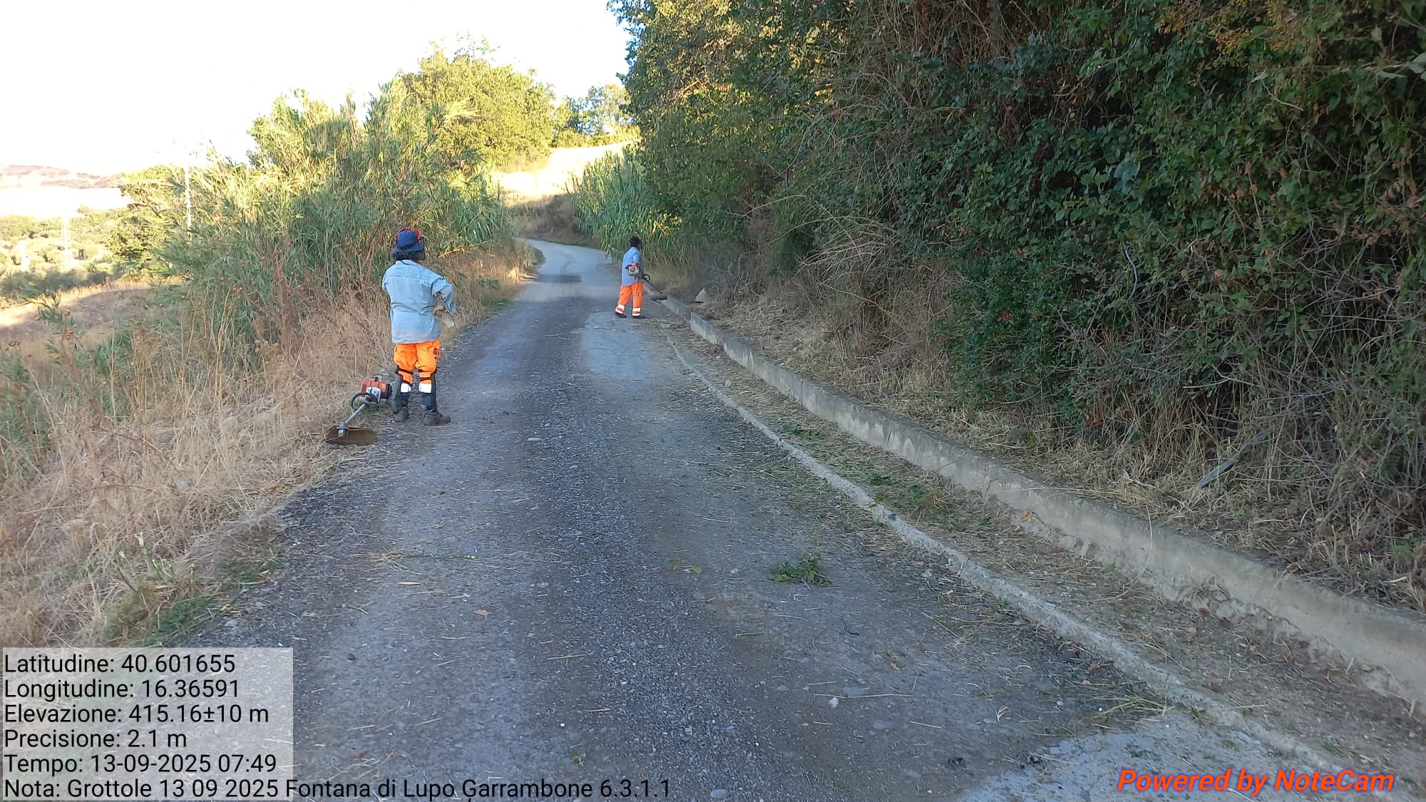 Galleria Fotografica Immagine