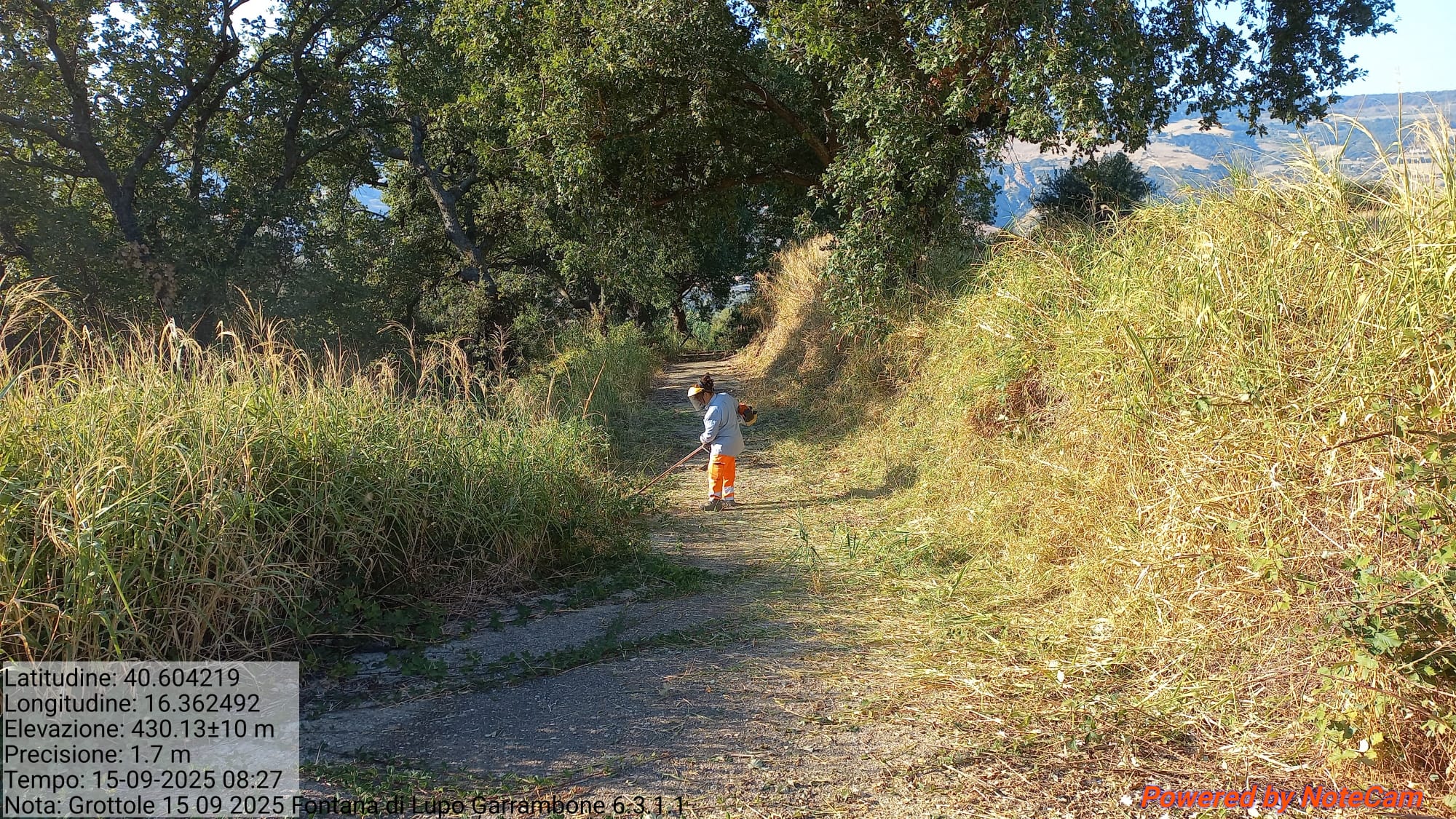 Galleria Fotografica Immagine