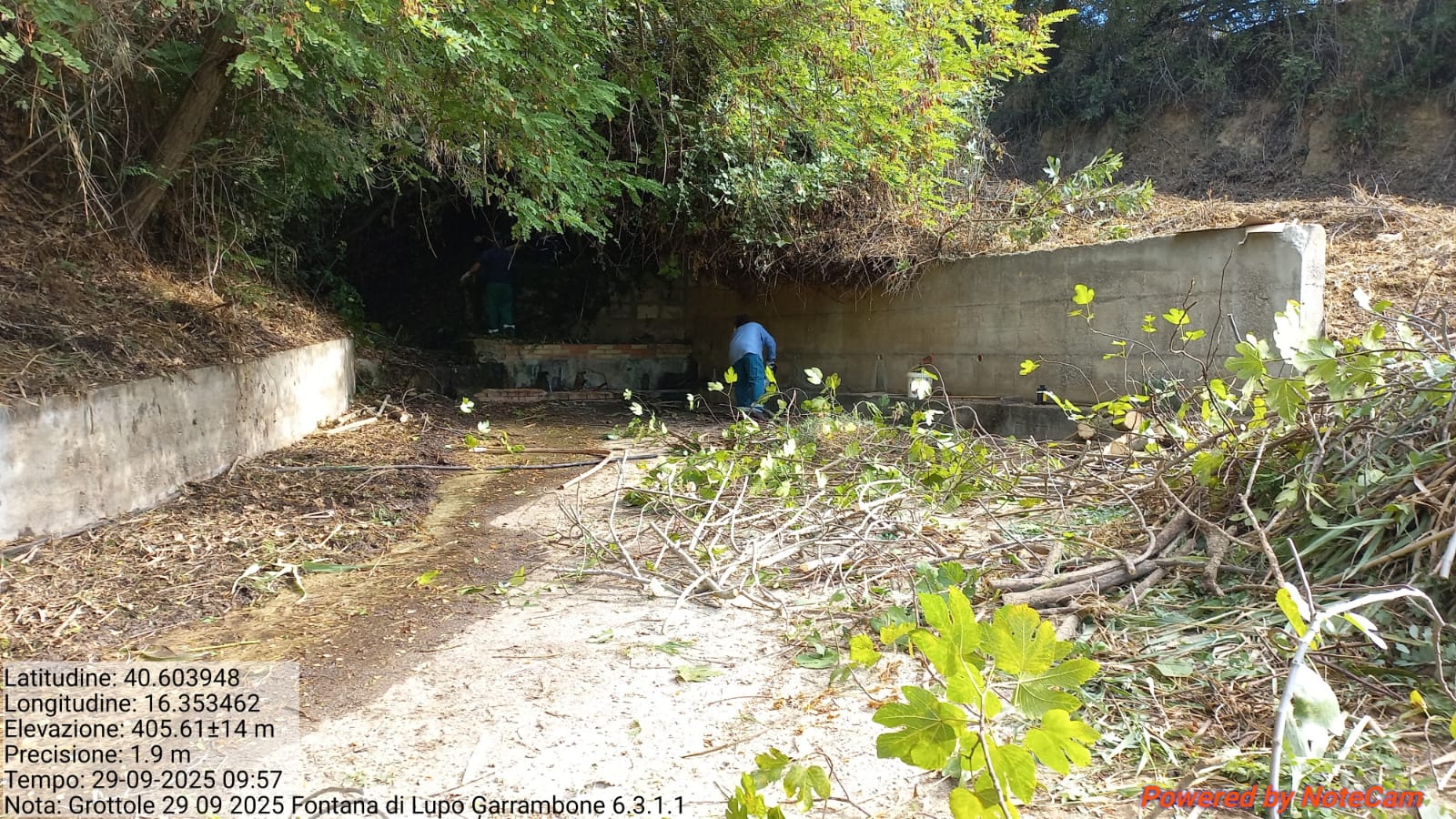 Galleria Fotografica Immagine