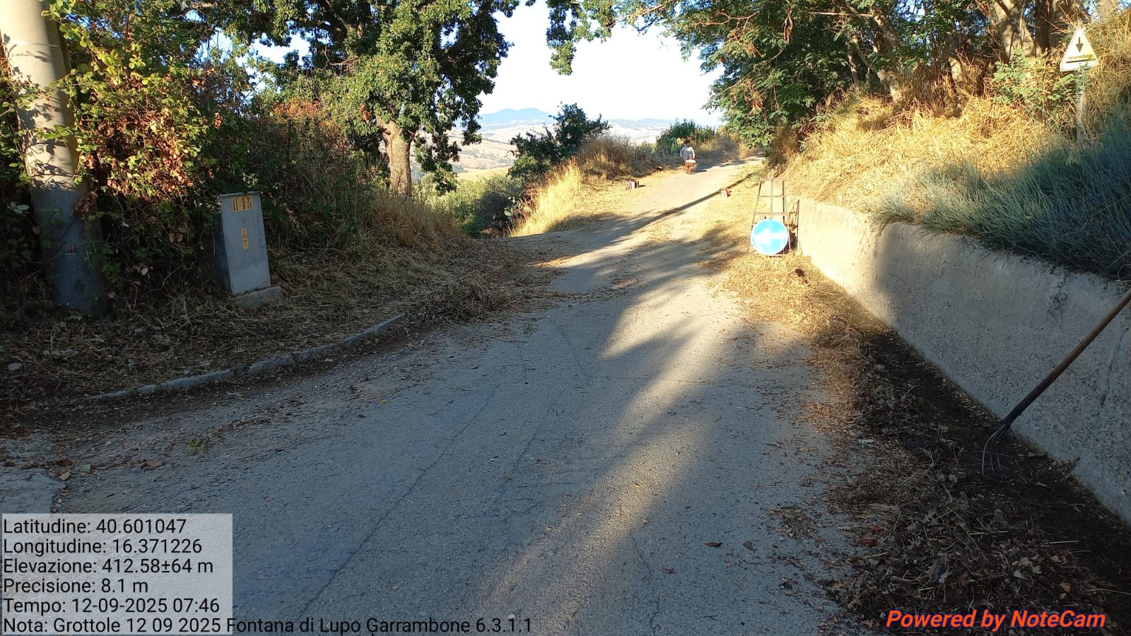 Galleria Fotografica Immagine