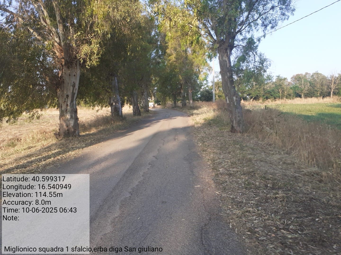 Galleria Fotografica Immagine