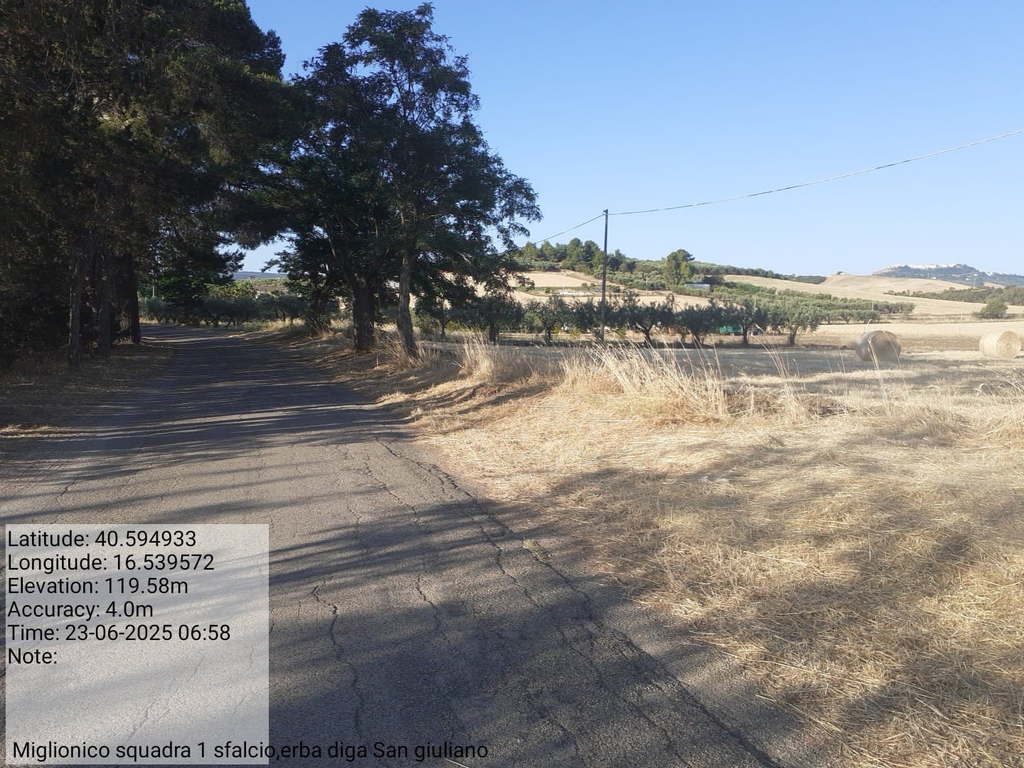 Galleria Fotografica Immagine