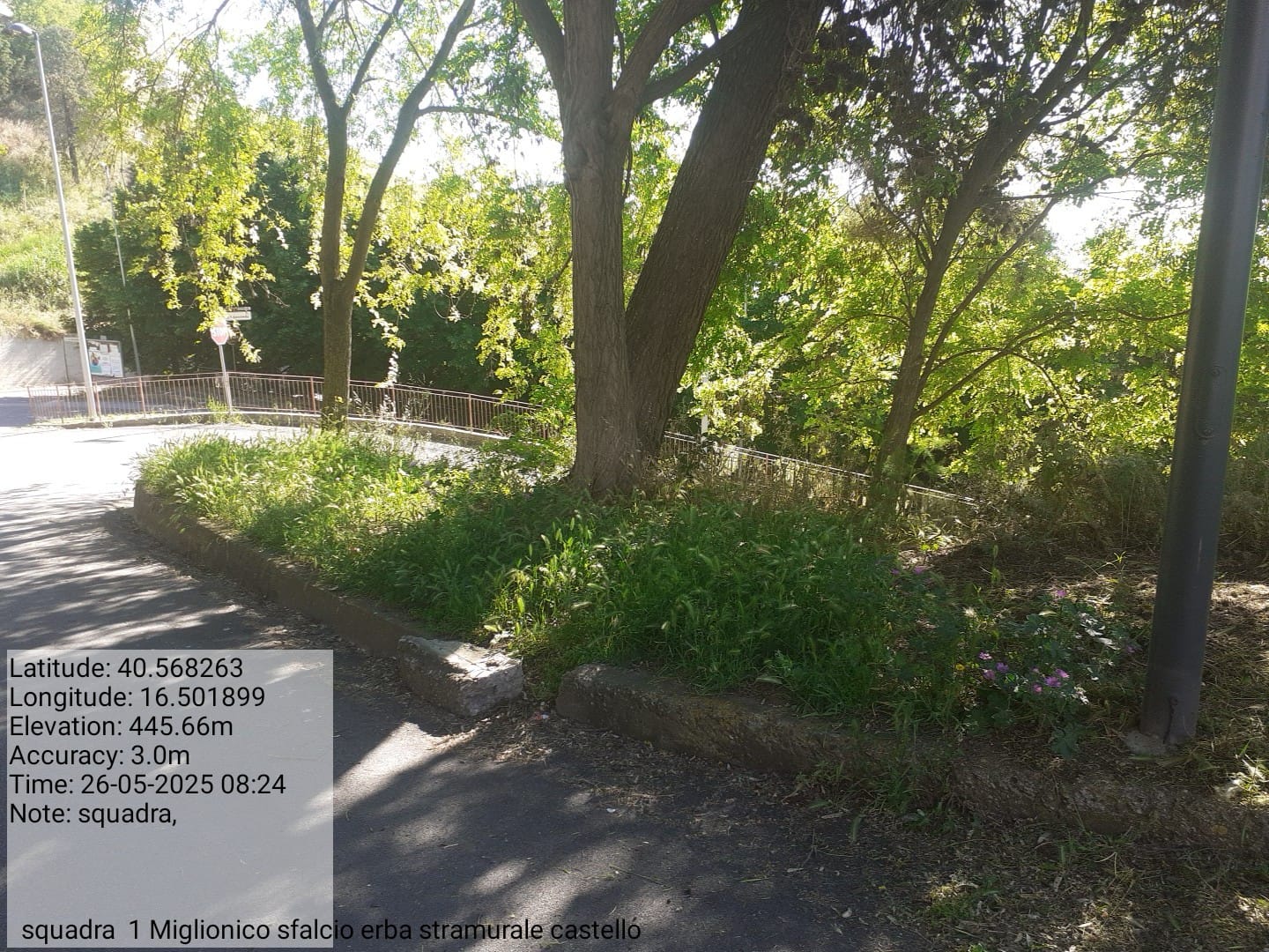 Galleria Fotografica Immagine