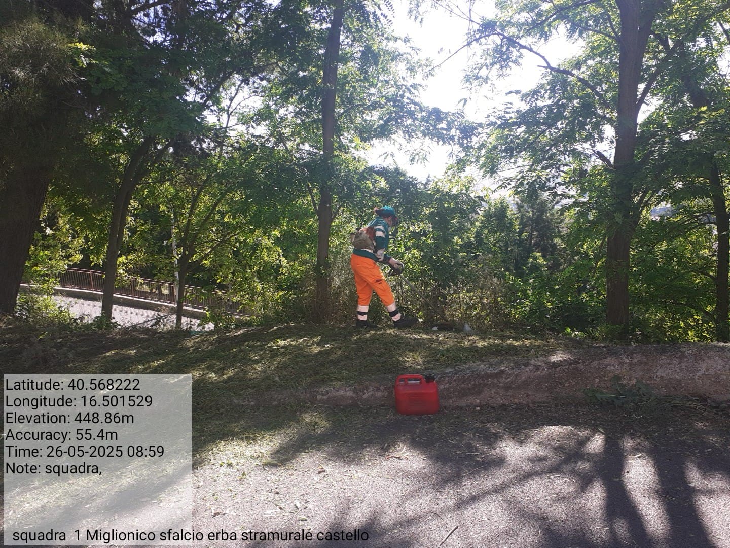 Galleria Fotografica Immagine