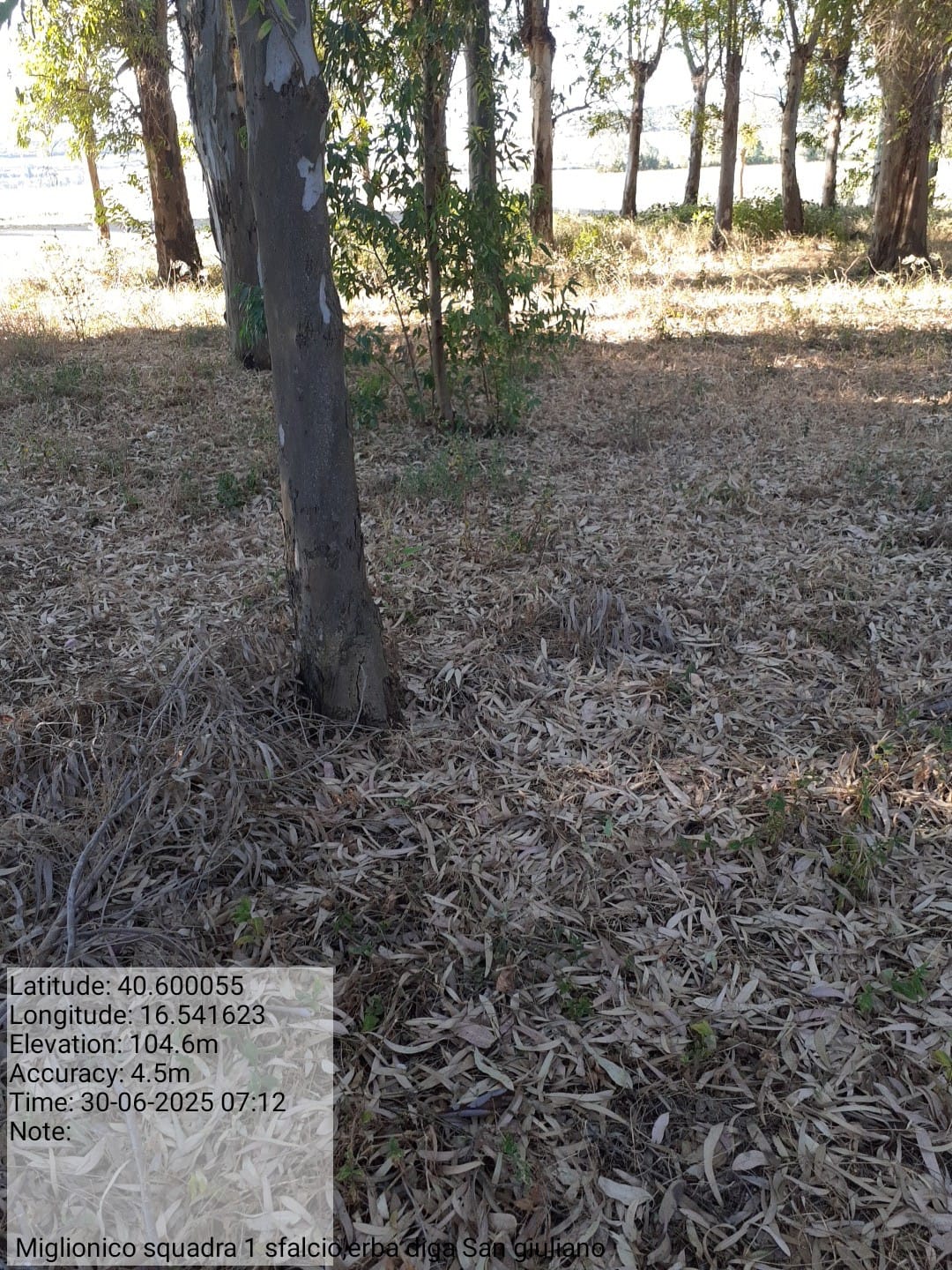 Galleria Fotografica Immagine