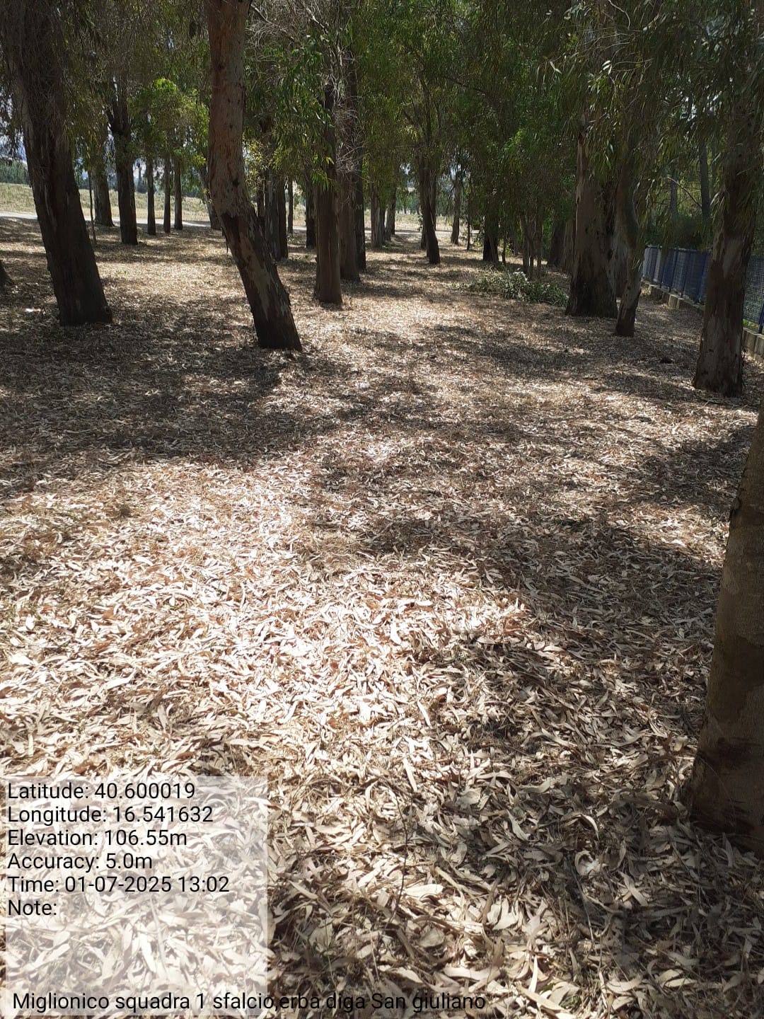 Galleria Fotografica Immagine