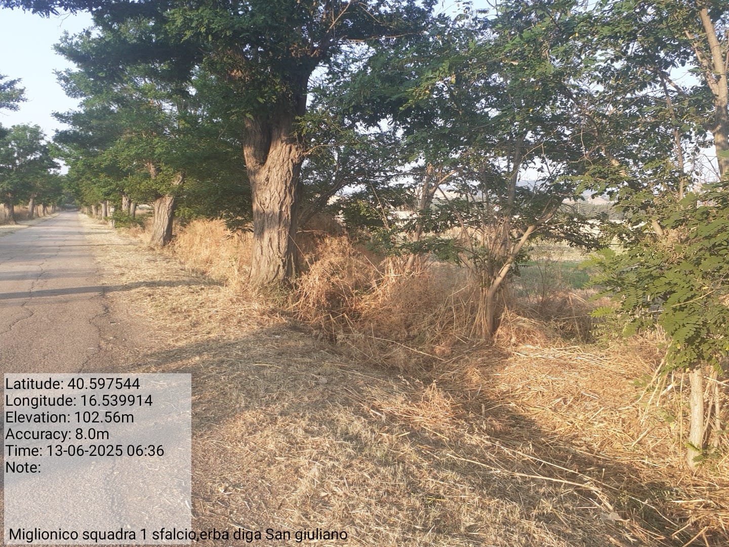 Galleria Fotografica Immagine