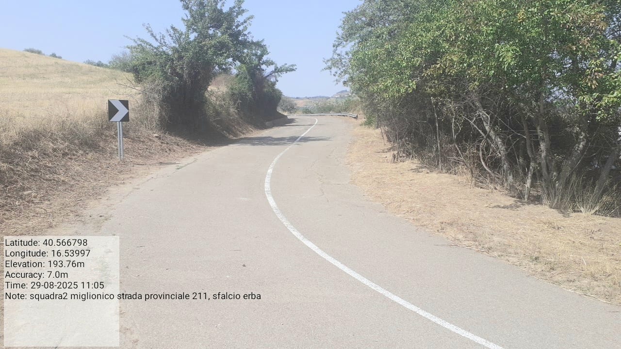 Galleria Fotografica Immagine