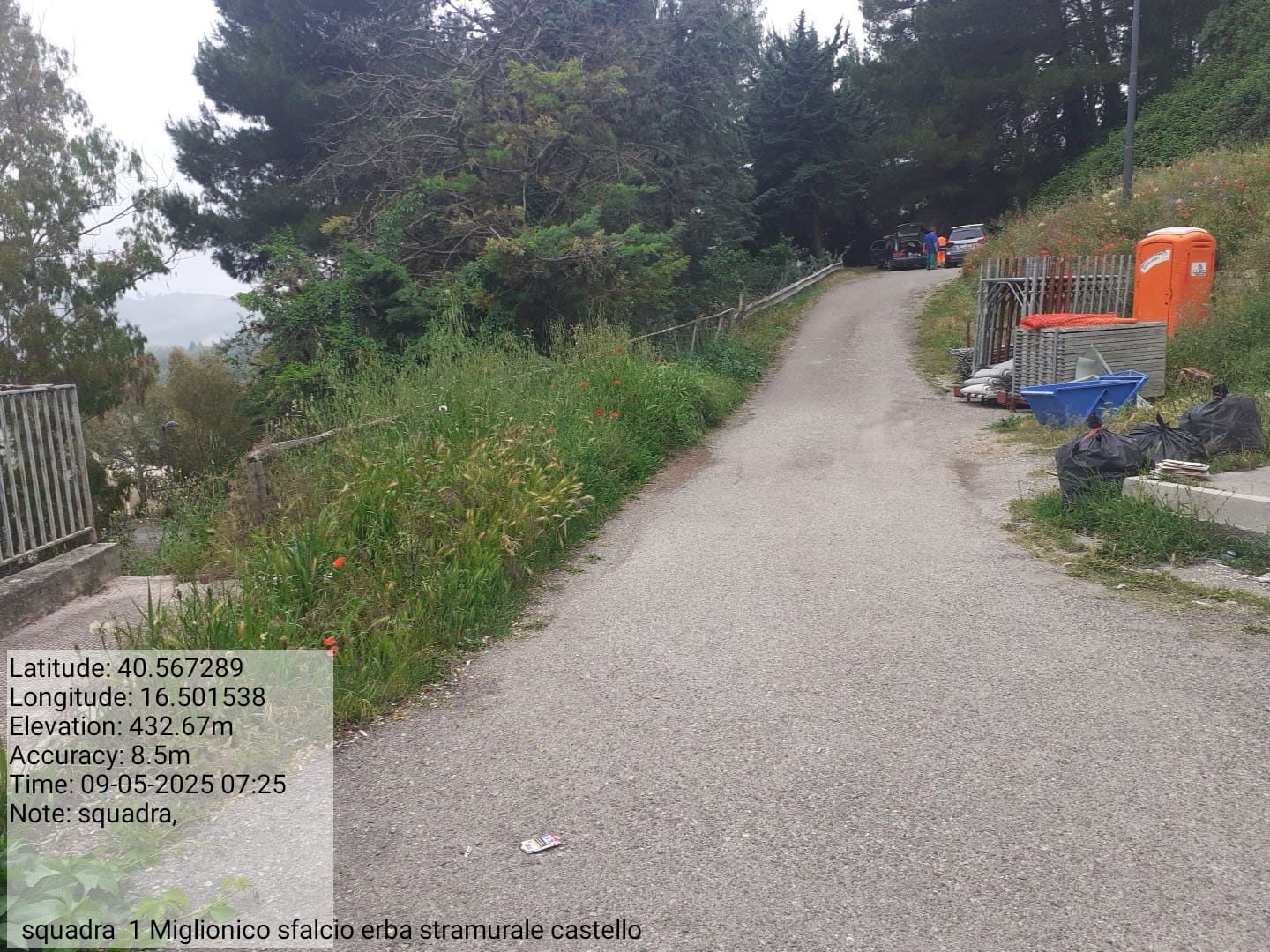 Galleria Fotografica Immagine