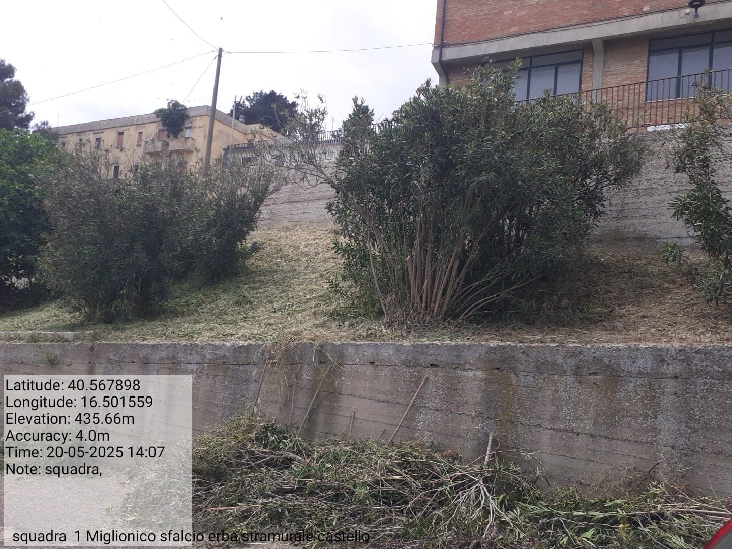 Galleria Fotografica Immagine