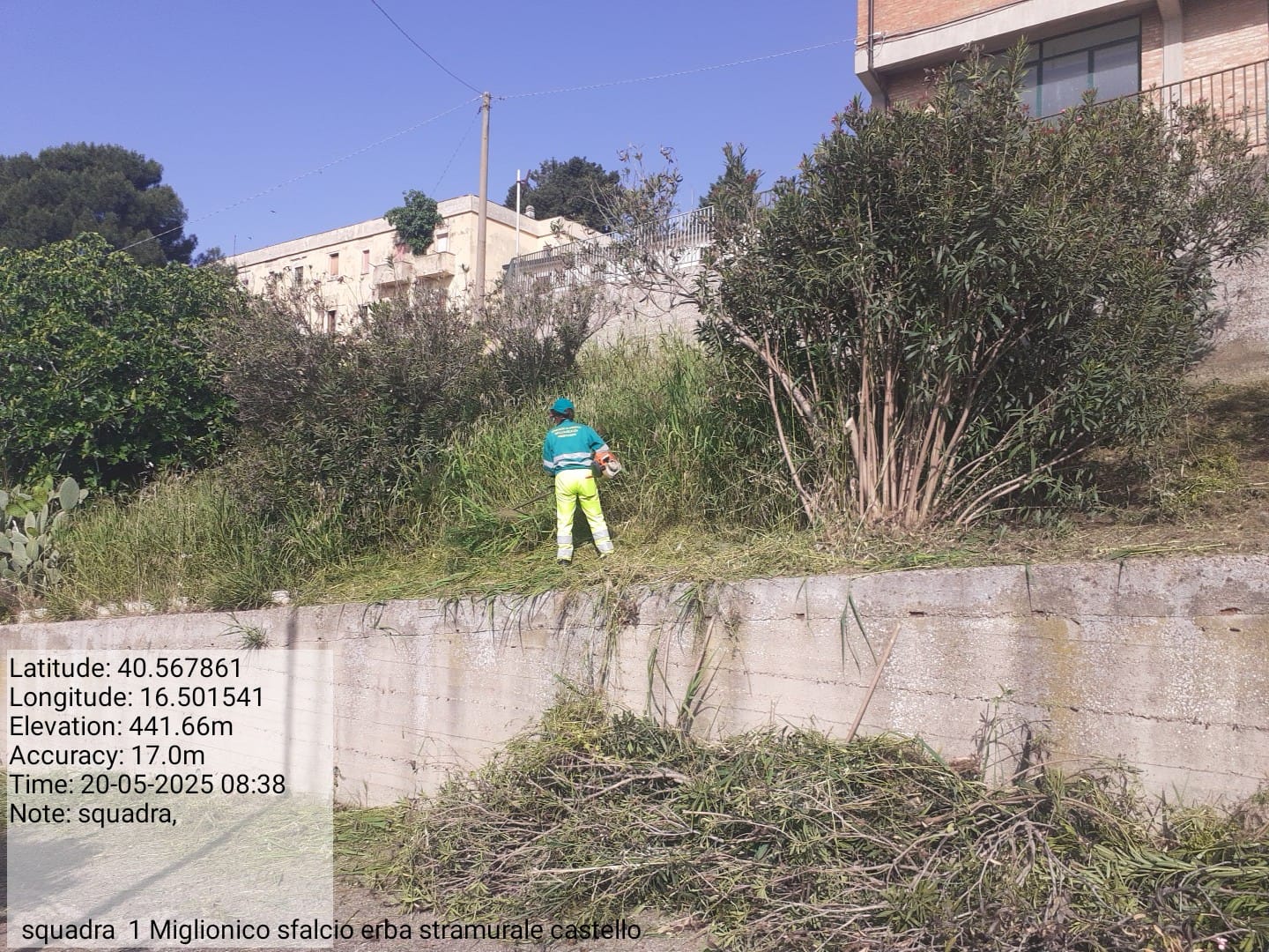 Galleria Fotografica Immagine