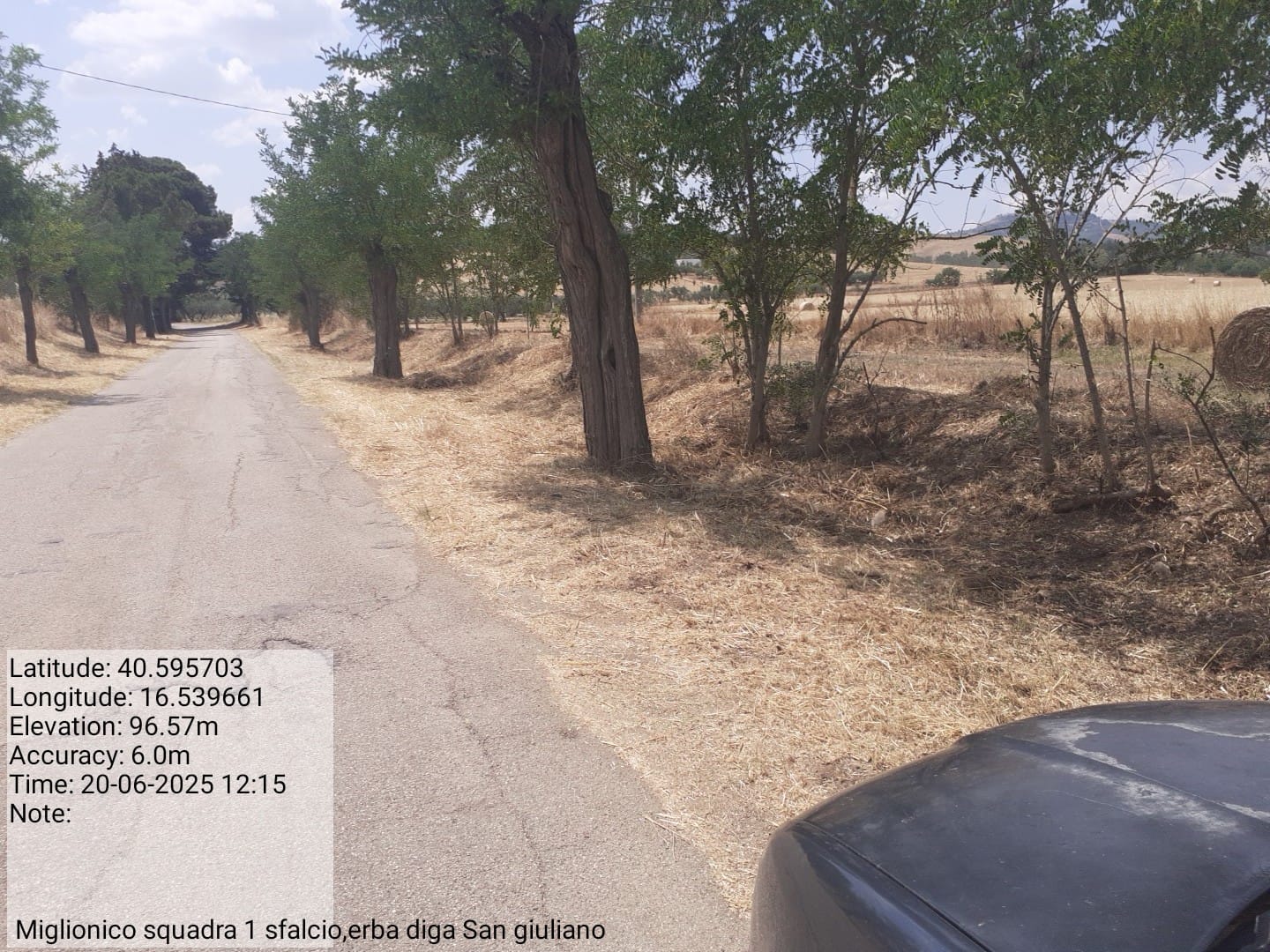 Galleria Fotografica Immagine