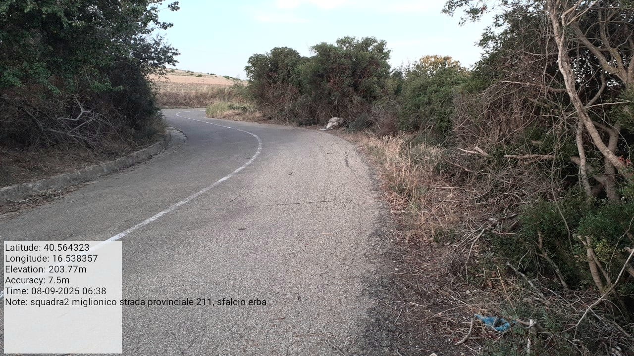 Galleria Fotografica Immagine