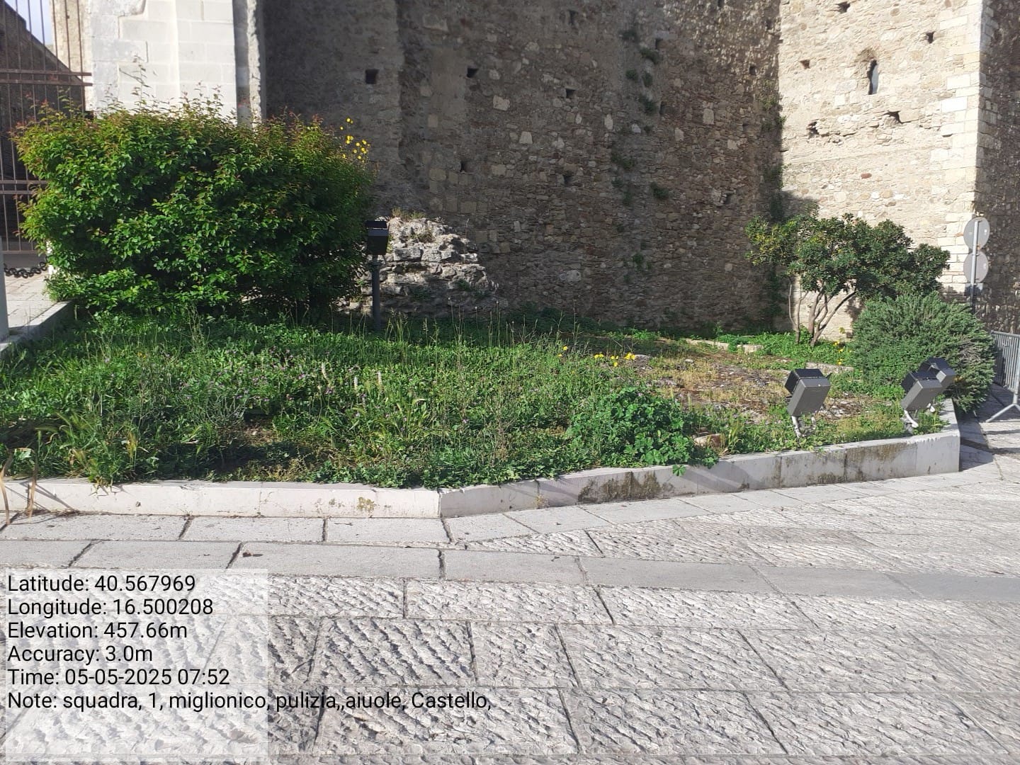 Galleria Fotografica Immagine