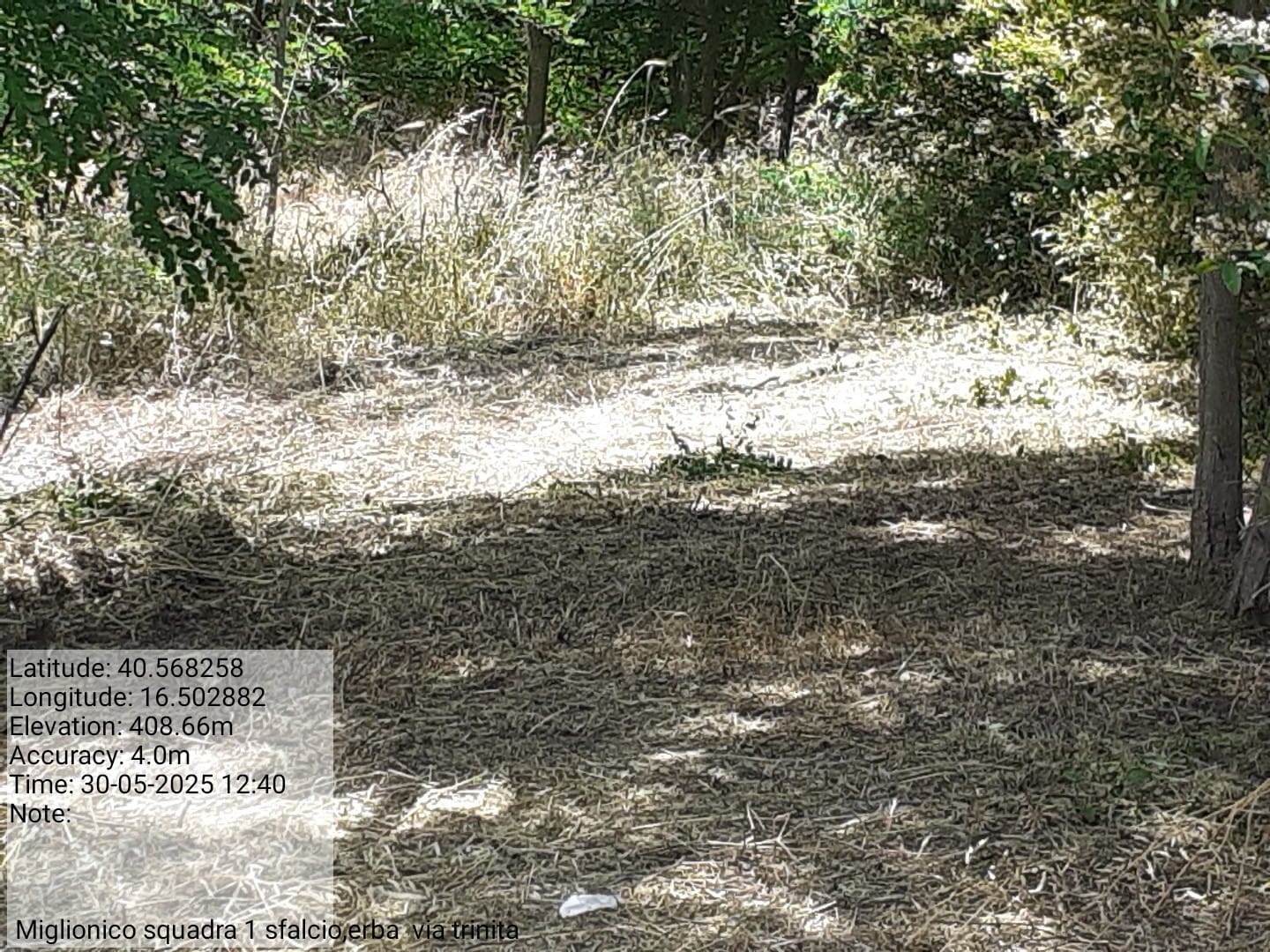 Galleria Fotografica Immagine