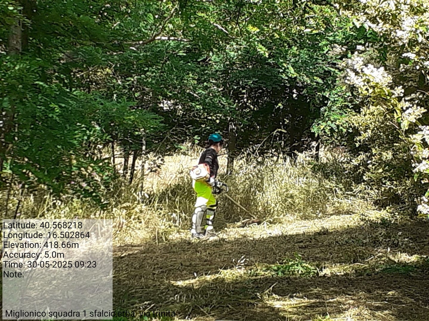 Galleria Fotografica Immagine