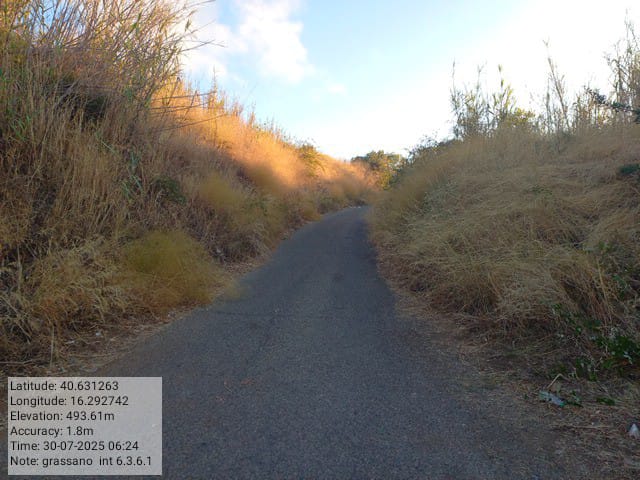 Galleria Fotografica Immagine