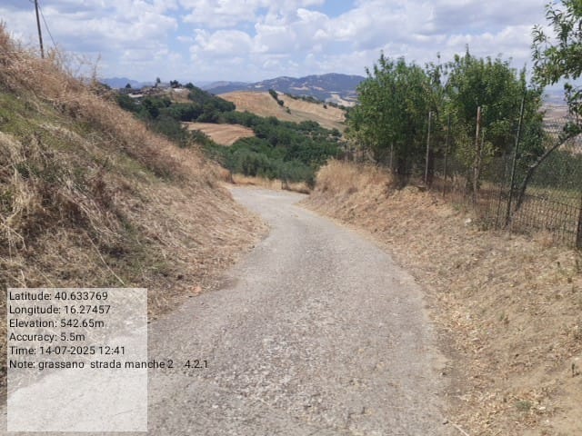 Galleria Fotografica Immagine