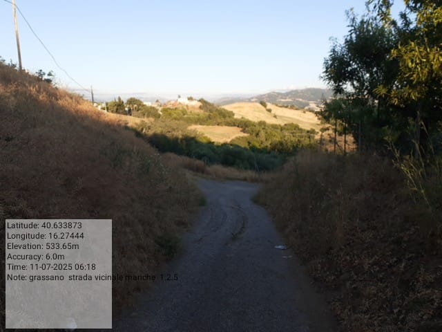 Galleria Fotografica Immagine