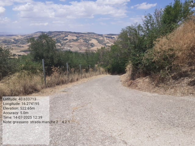 Galleria Fotografica Immagine