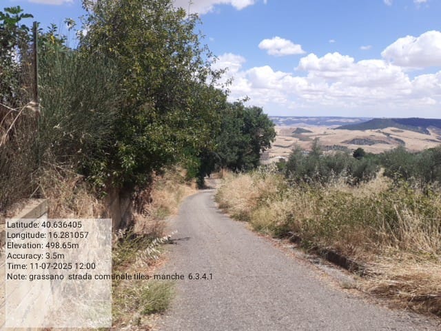 Galleria Fotografica Immagine