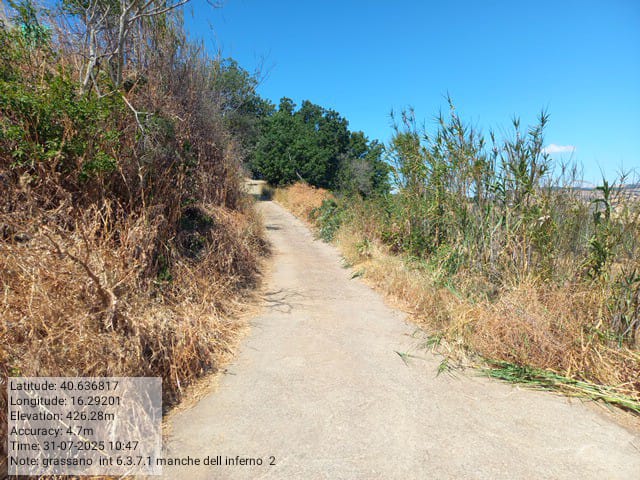 Galleria Fotografica Immagine