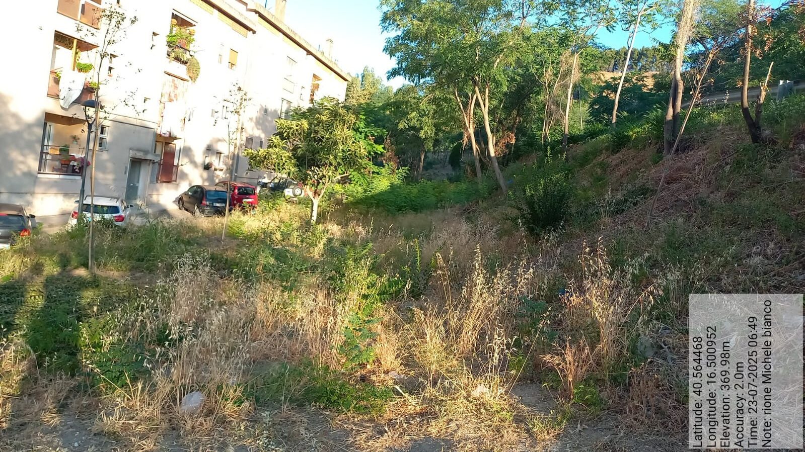 Galleria Fotografica Immagine