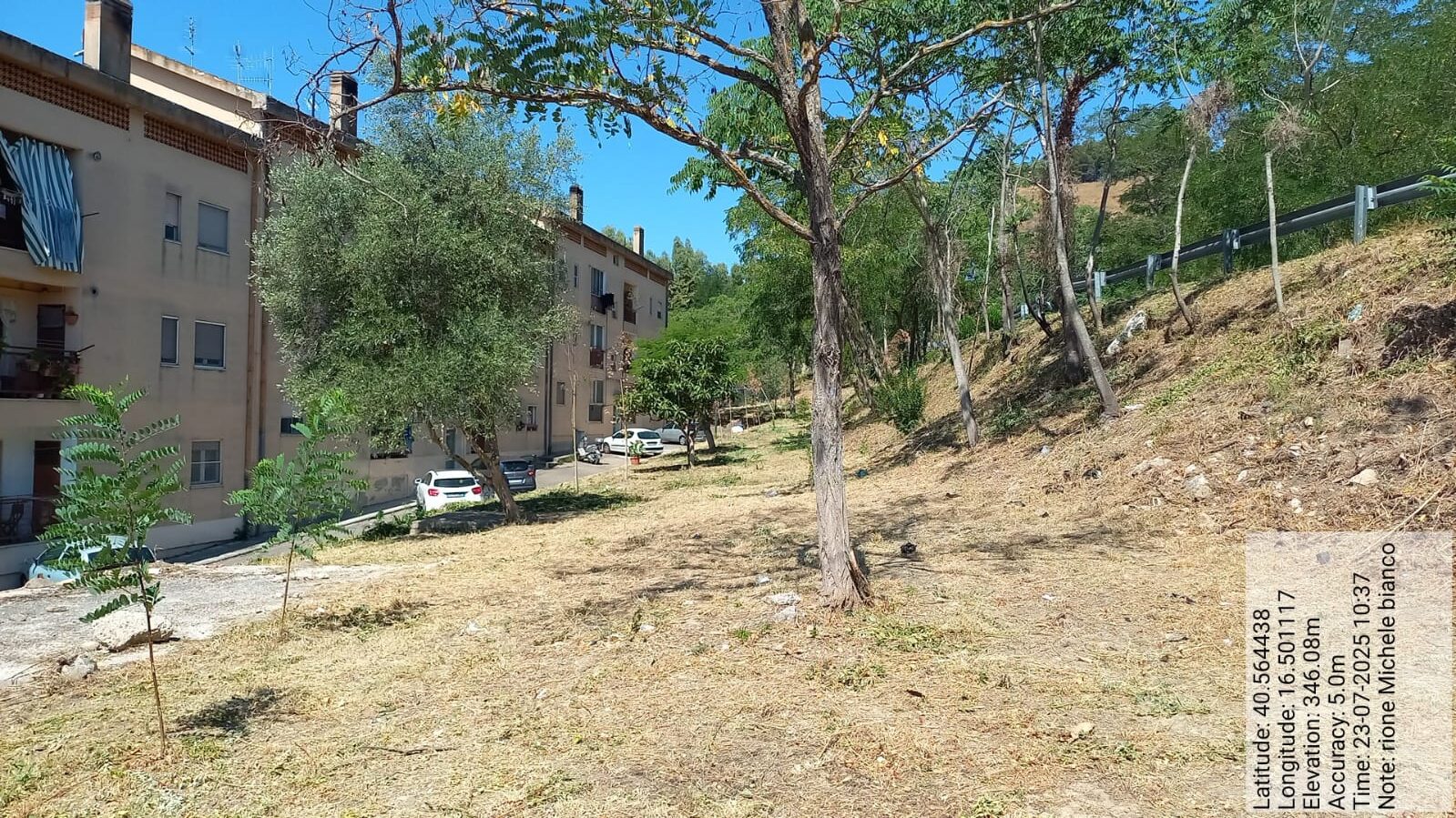 Galleria Fotografica Immagine